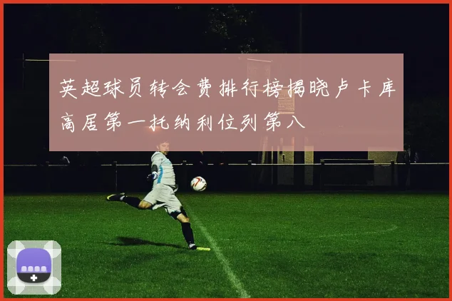 英超球员转会费排行榜揭晓卢卡库高居第一托纳利位列第八