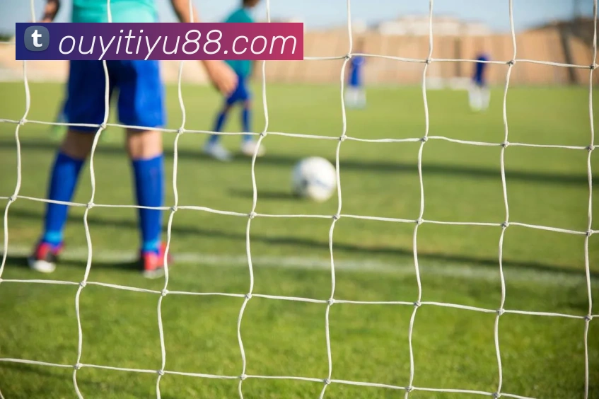 欧亿体育服务体系